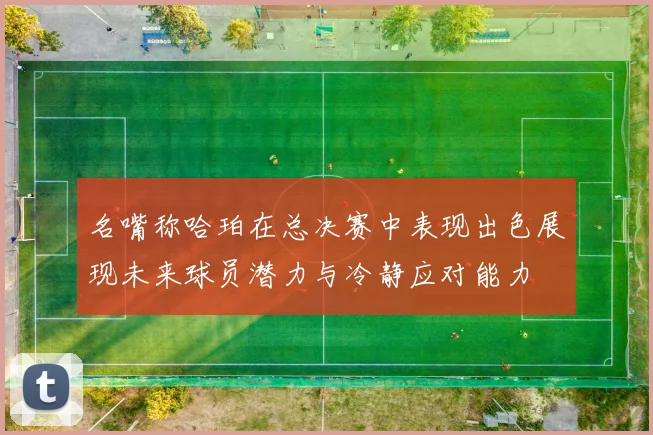 名嘴称哈珀在总决赛中表现出色展现未来球员潜力与冷静应对能力